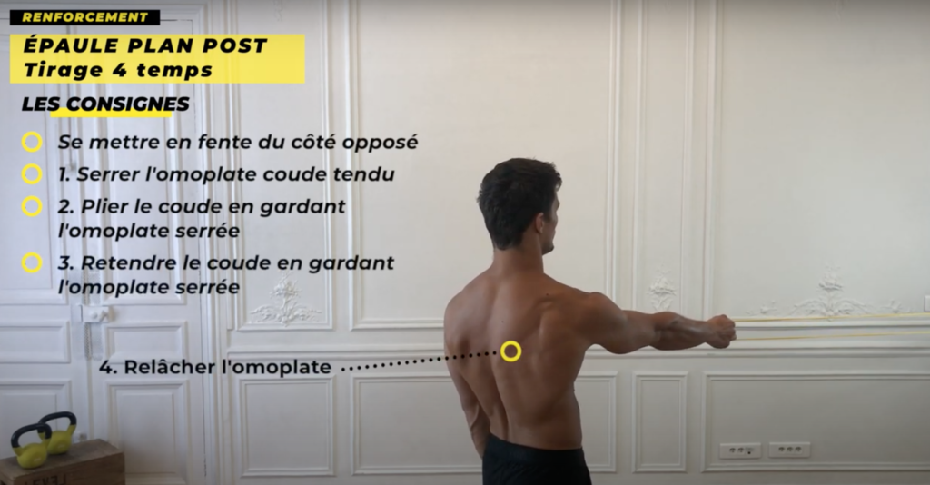 exercice renforcement musculaire biceps brachial dos